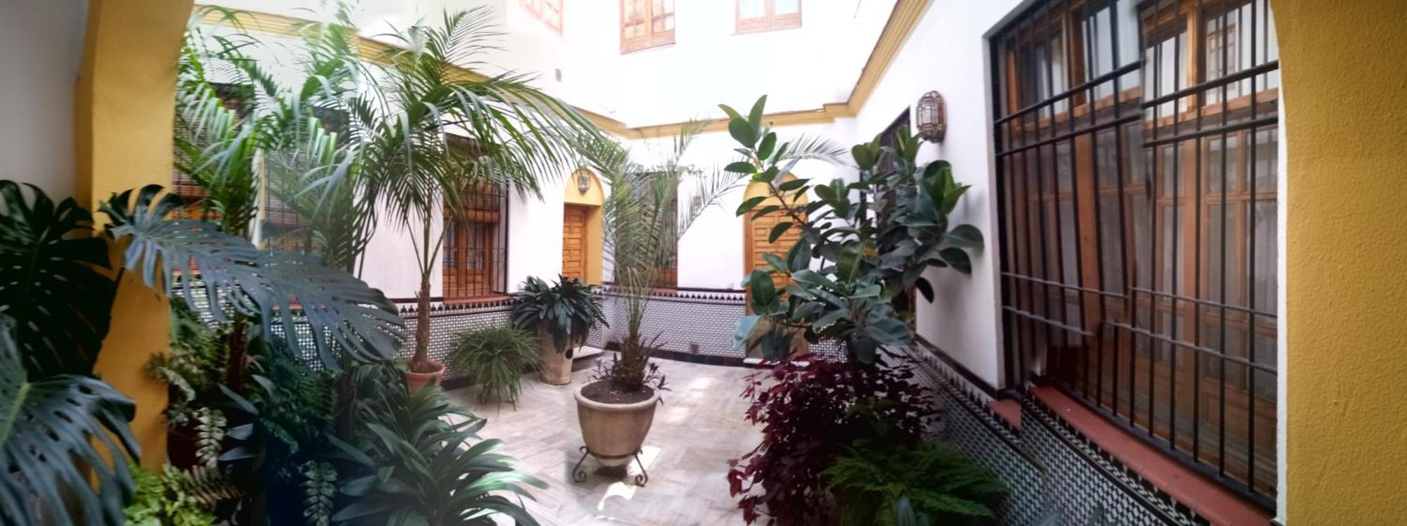 Córdoba centro esencia cordobesa. Mezquita Exterior foto